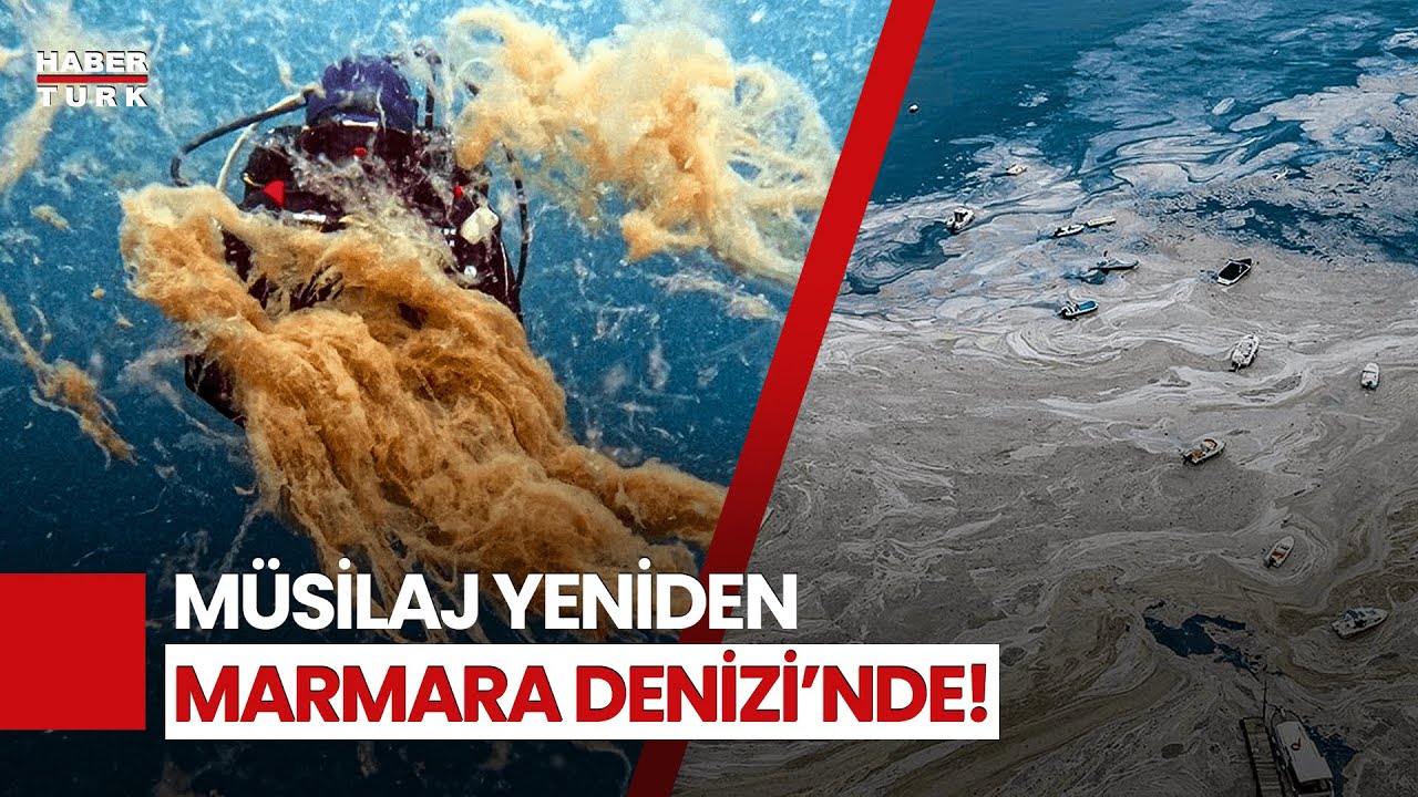 Marmara Denizi'nde 