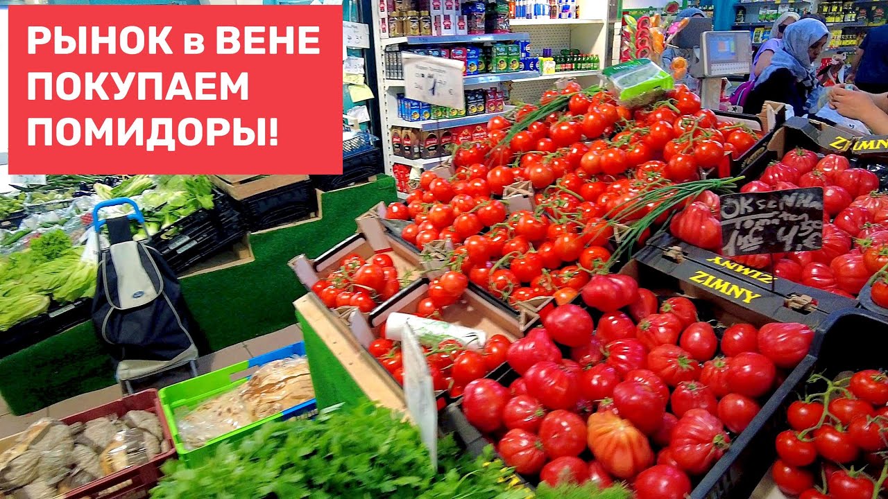 Еду на рынок за овощами. Вена, лето! #akselfrank