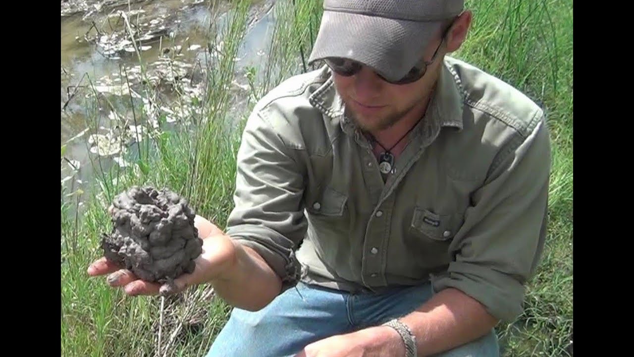 How to Dig Up Crayfish, Crawdads, Crawfish, and Mud Bugs  (Crawfish Noodling)
