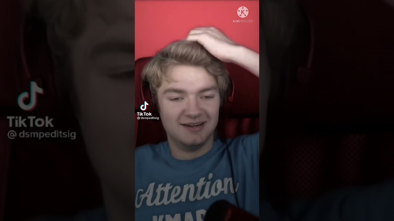 MCYT Tiktok Compilations || MCYT Tiktok #18