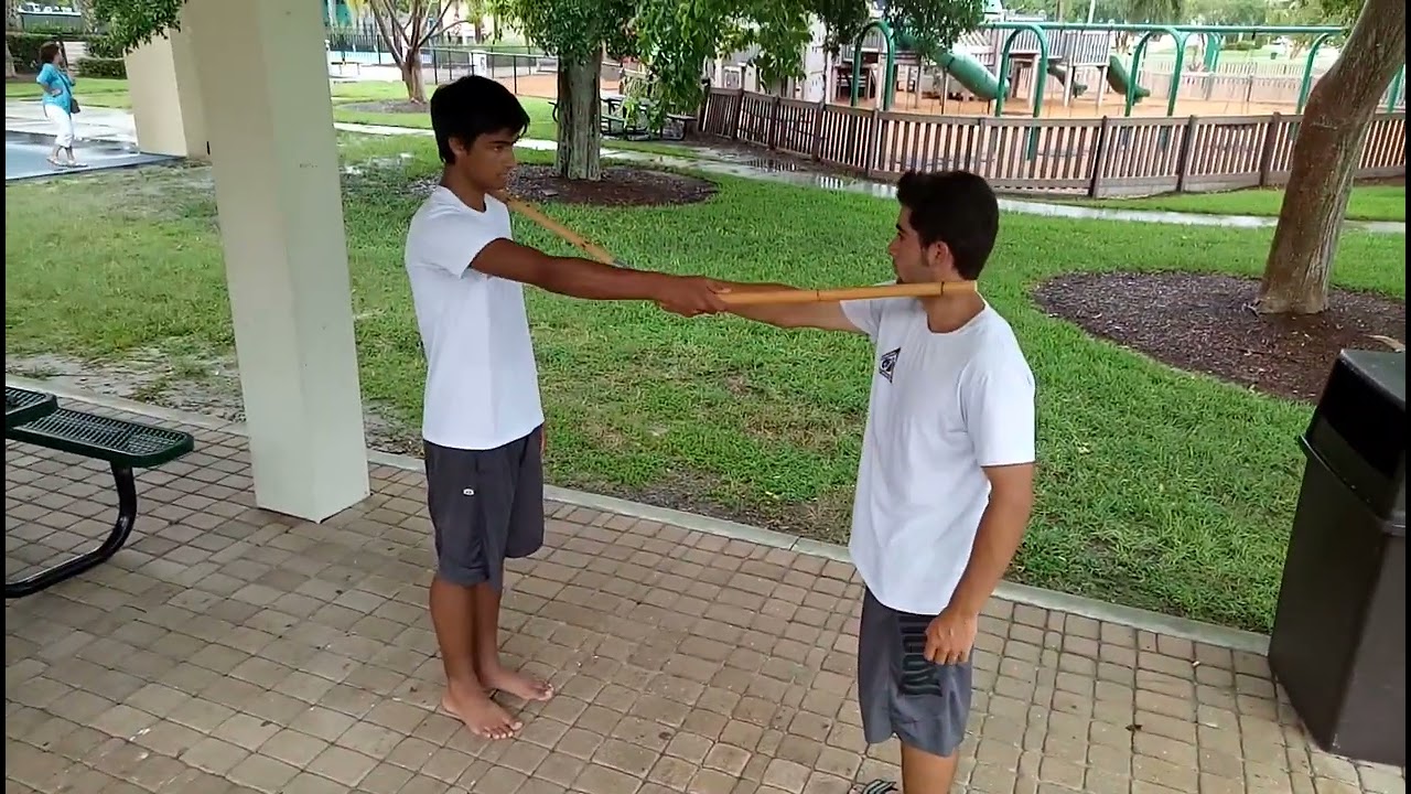 Largo Mano, Basic stepping to the side so you cannot be hit but you can hit them. #fma #largo