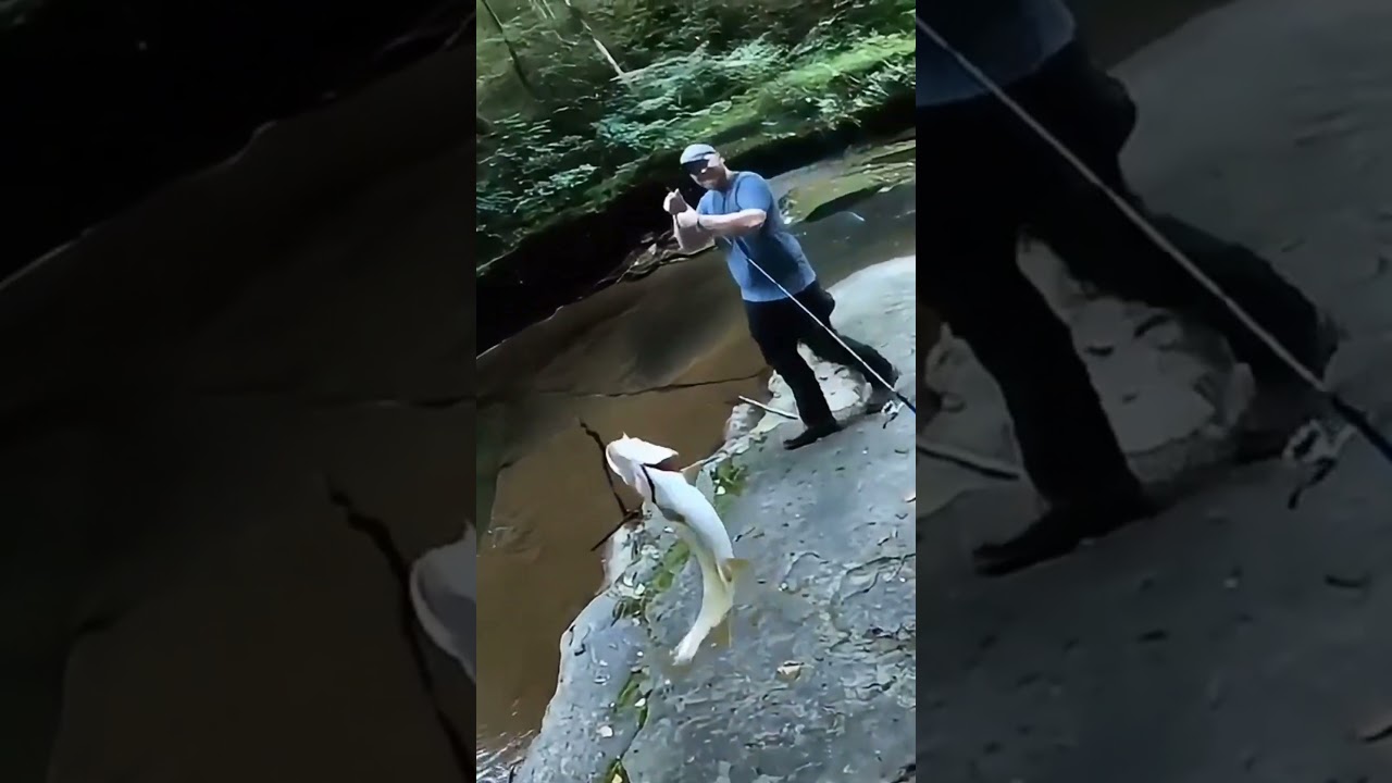 Catching a Brown Trout While Micro Fishing a Small Creek 