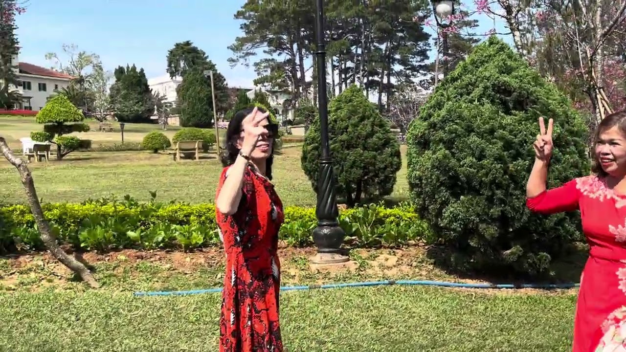Hoa Mai anh đào trong khu vườn Palace Đà Lạt