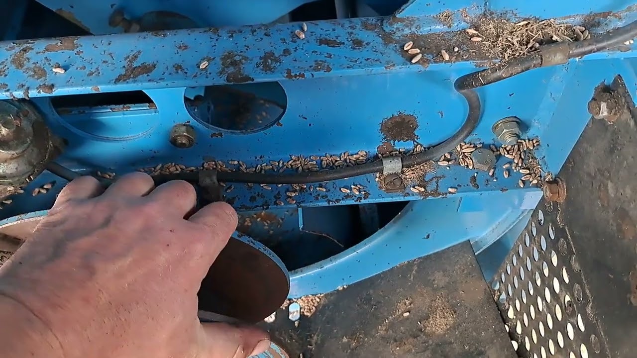 Żmijka ziarna i przekładnia kątowa Bizon BS-Z110