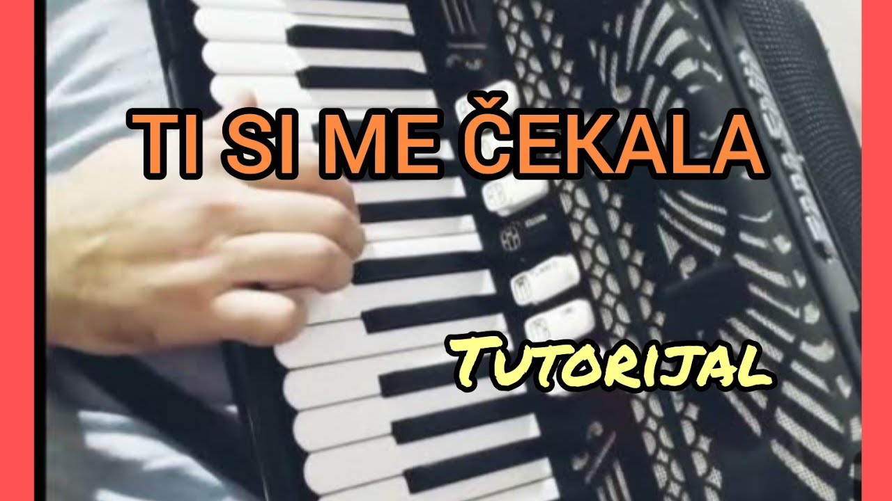 TI SI ME ČEKALA - ( A JA SAM NEGDE RUJNO VINO PIO)- TUTORIAL - TOZOVAC 