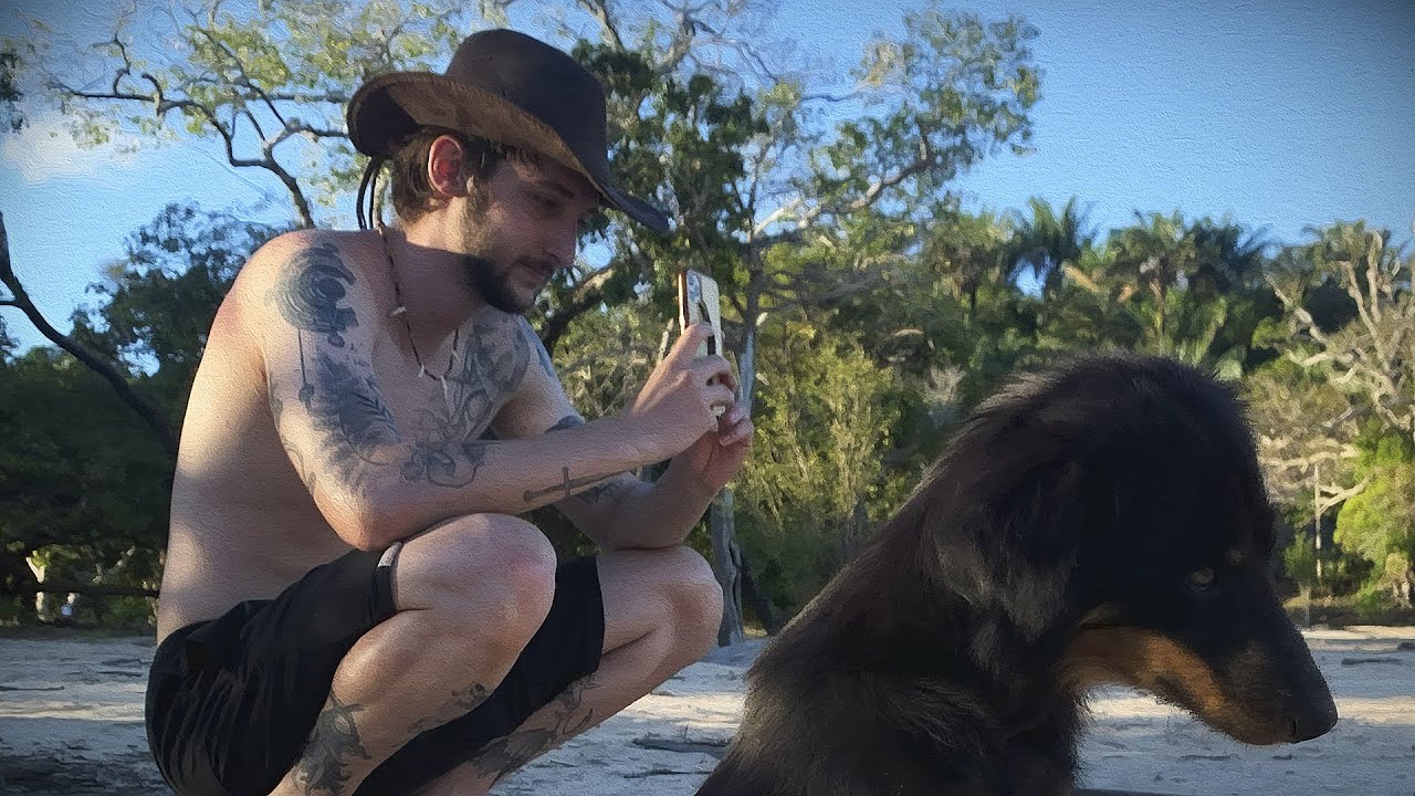 os perigos da amazônia