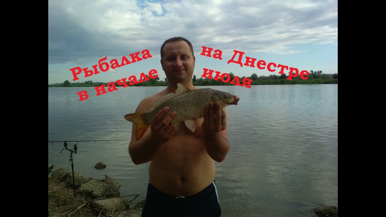 Рыбалка на Днестре, база Русалка. Бешеный клев СОМА и САЗАНА! Семейный отдых! #тренеррыбак