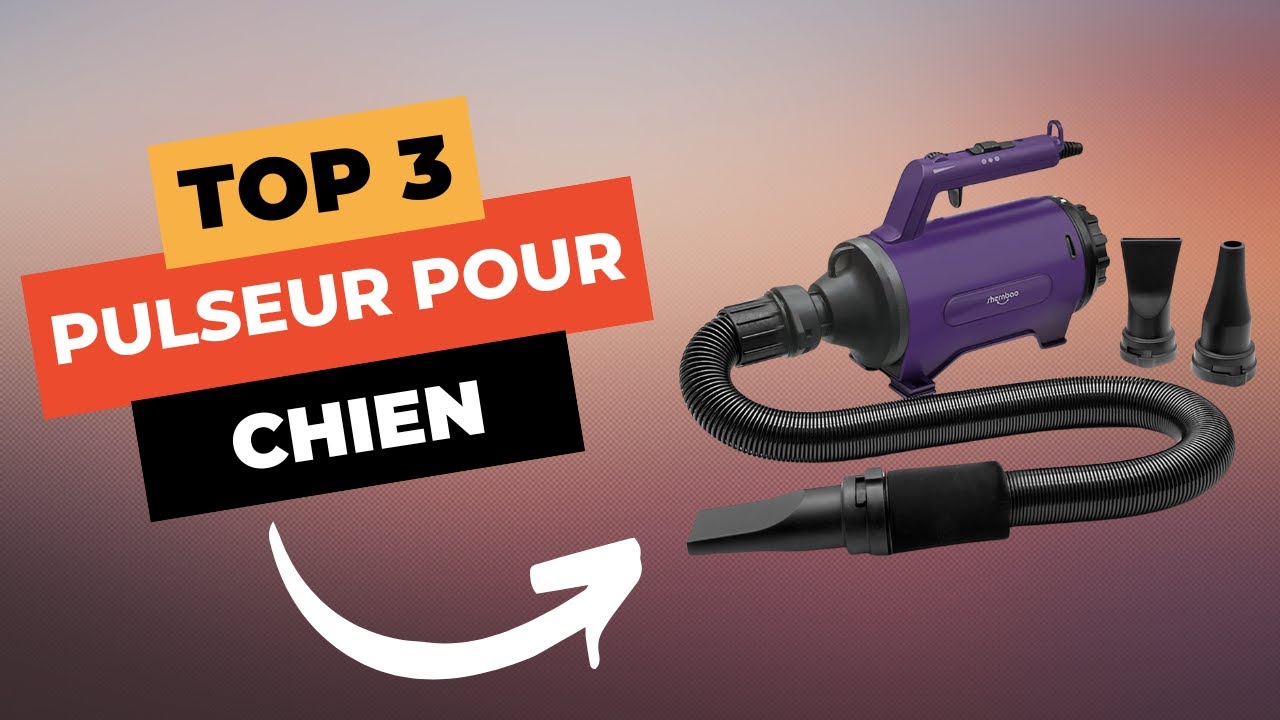 TOP 3 : Meilleur Pulseur pour Chien 2026 🔥