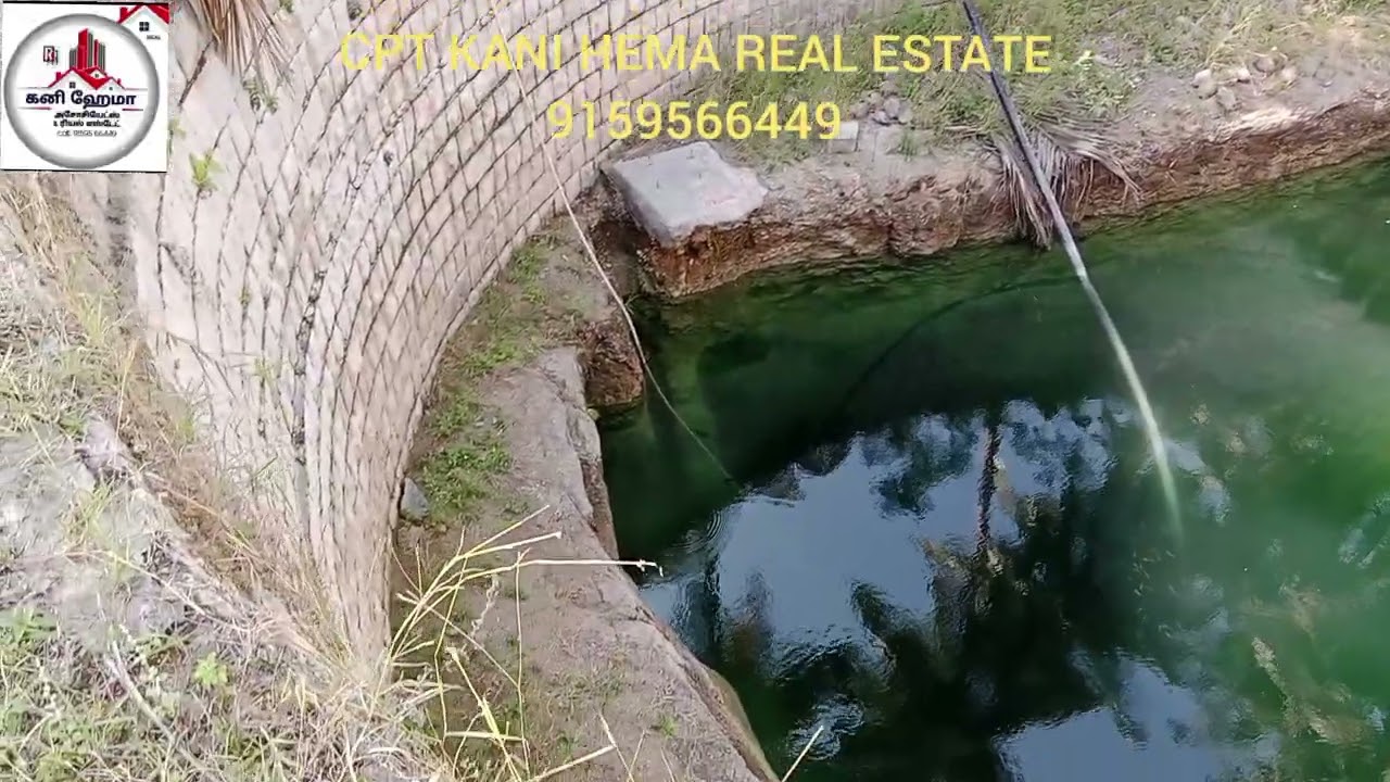 (9159566449) திண்டுக்கல் மாவட்டம் வடமதுரை அருகே 15 ஏக்கர் தென்னந்தோப்பு விற்பனைக்கு உள்ளது 