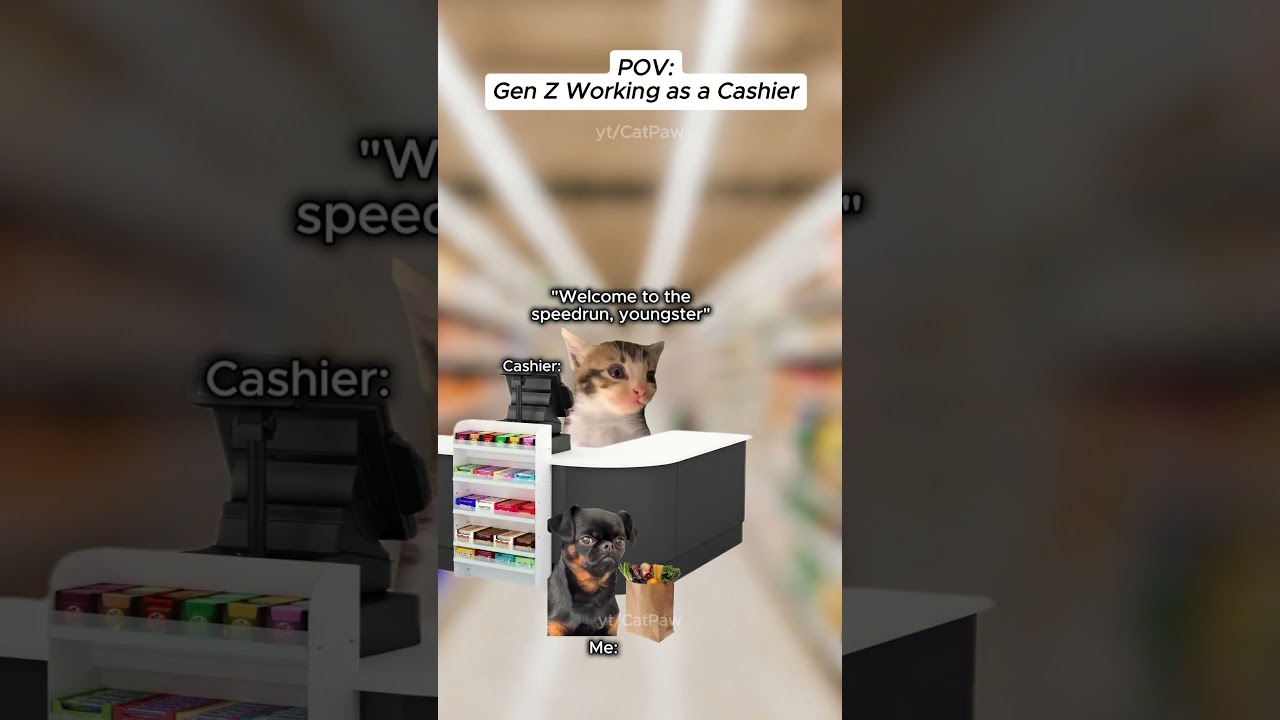Cat Memes | Gen Z Working as a Cashier | #shorts #fyp #memes #cat #catmemes