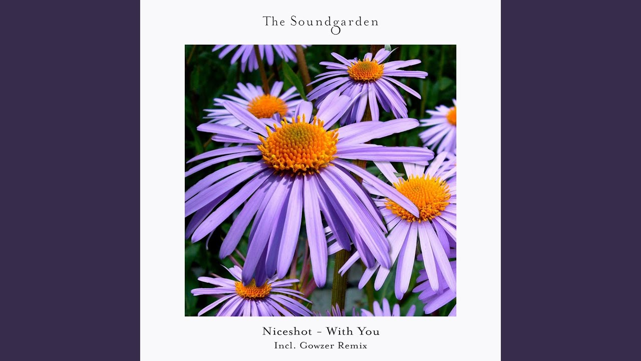 With You (Gowzer Extended Remix)