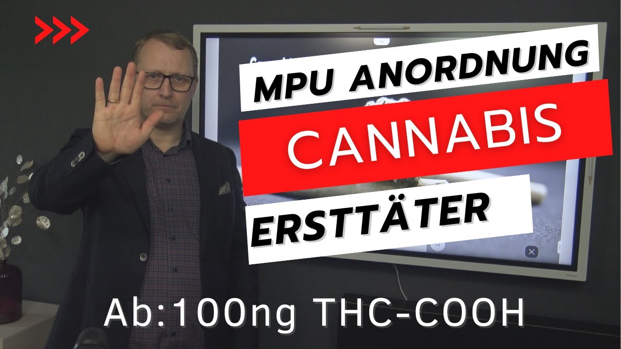 MPU-Vorbereitung. Auch Cannabis Ersttäter müssen zur MPU