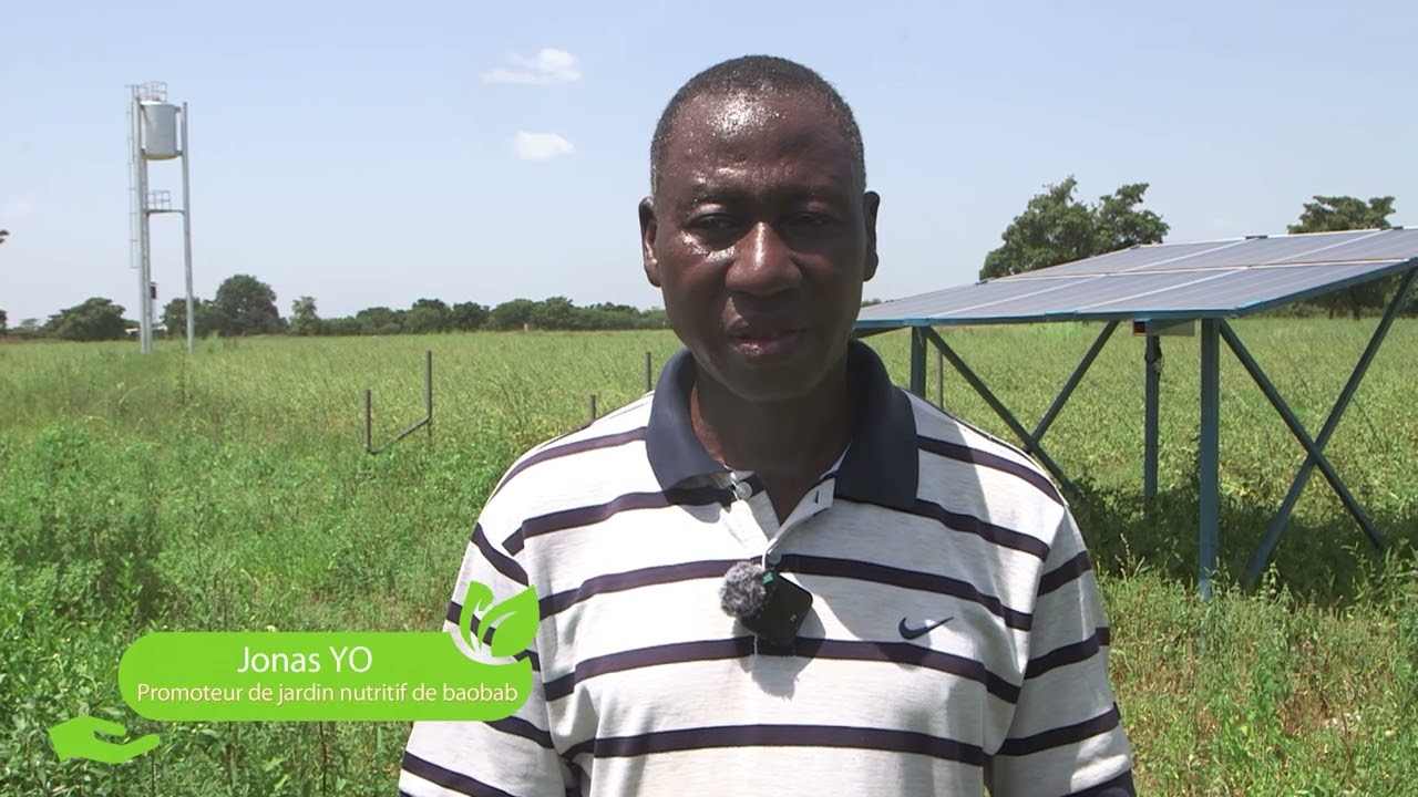 Zoom sur Jonas YOGO / Filière Baobab Bénéficiaire des financements du PGPC-REDD+/ UICN Guiaro