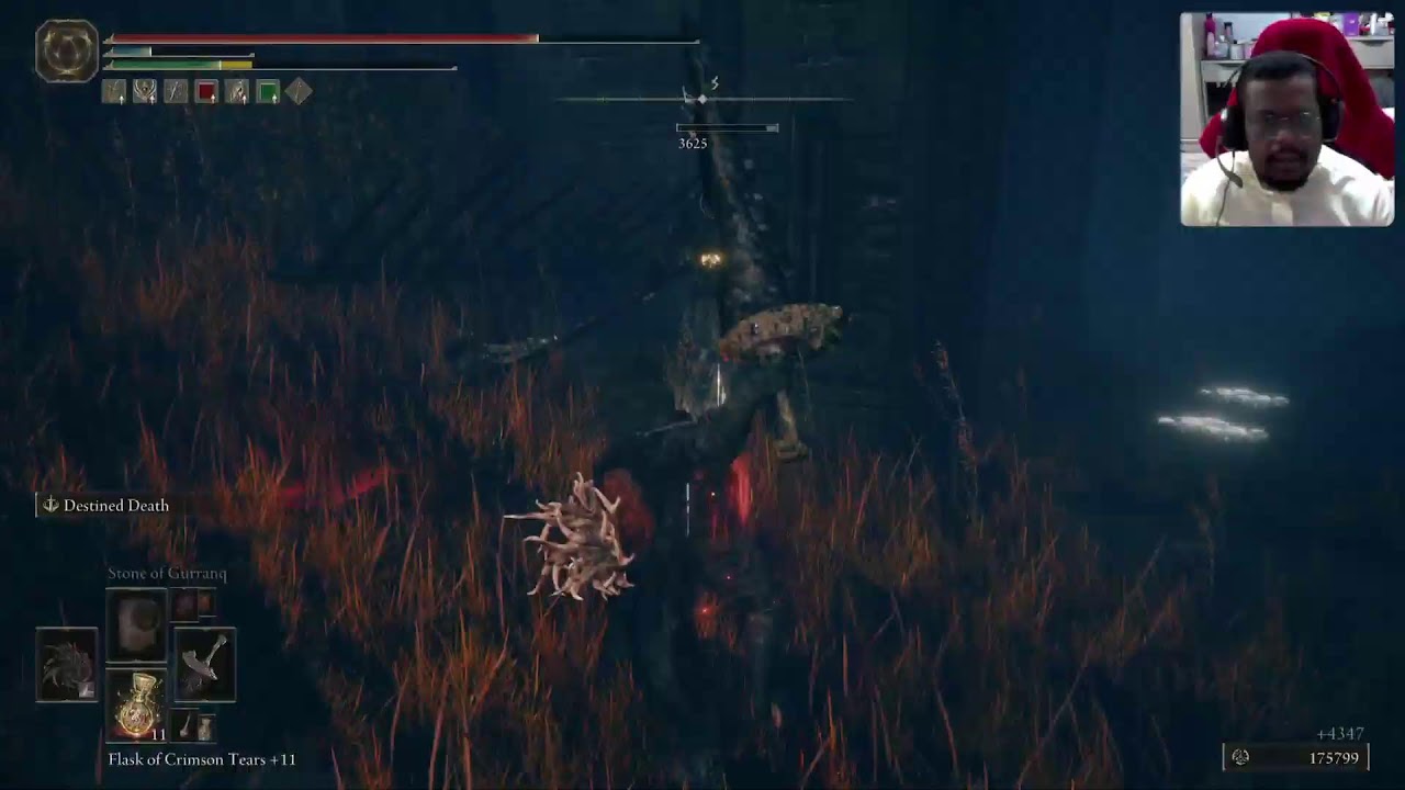 ELDEN RING Shadow of The Erdtree: Divine Beast Dancing Lion, Belurat Tower Settlement 