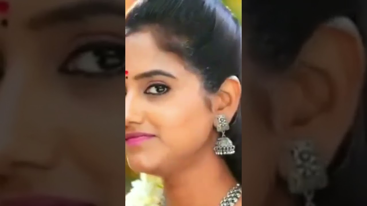 sok Surya kayal
