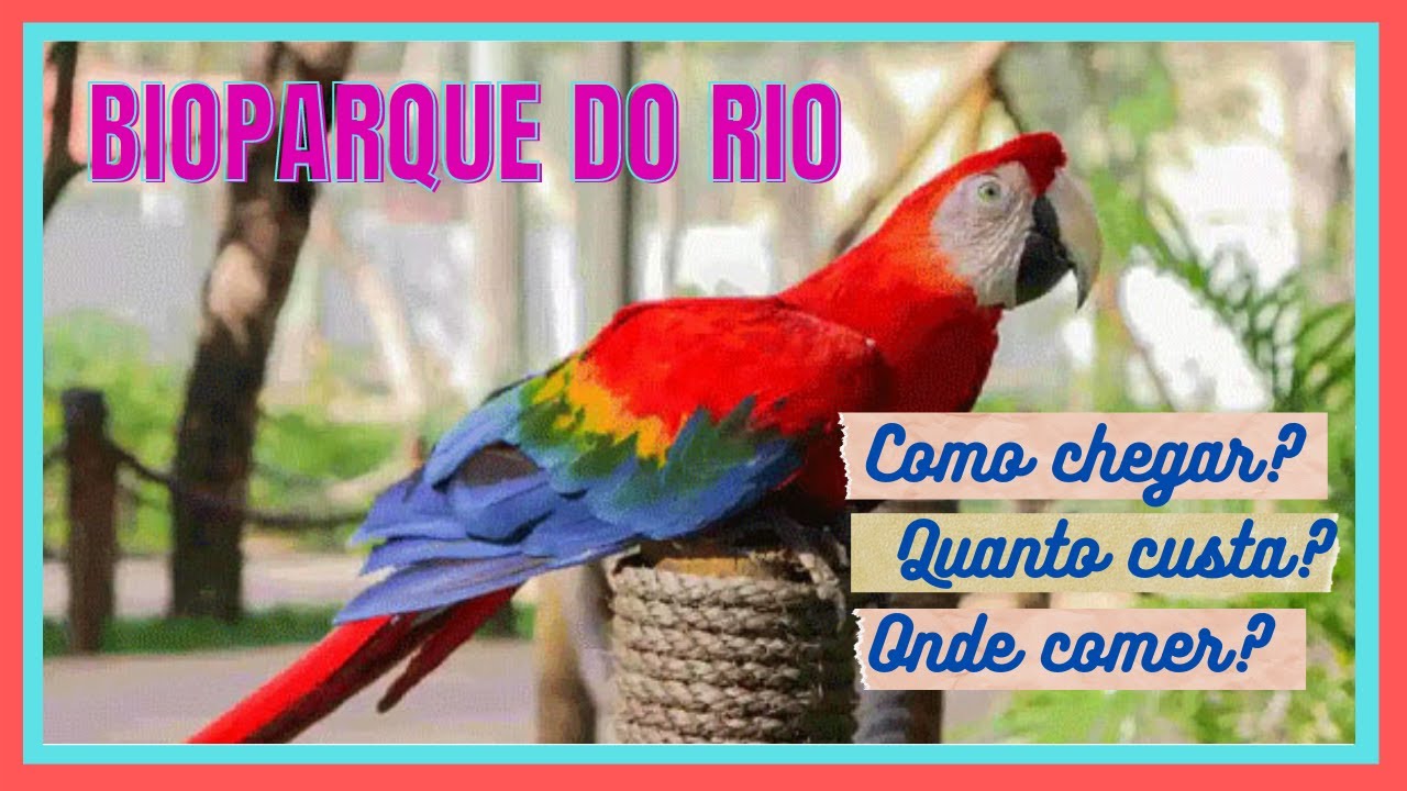 BIOPARQUE DO RIO - Antigo Zoológico do Rj - REABERTO 2021