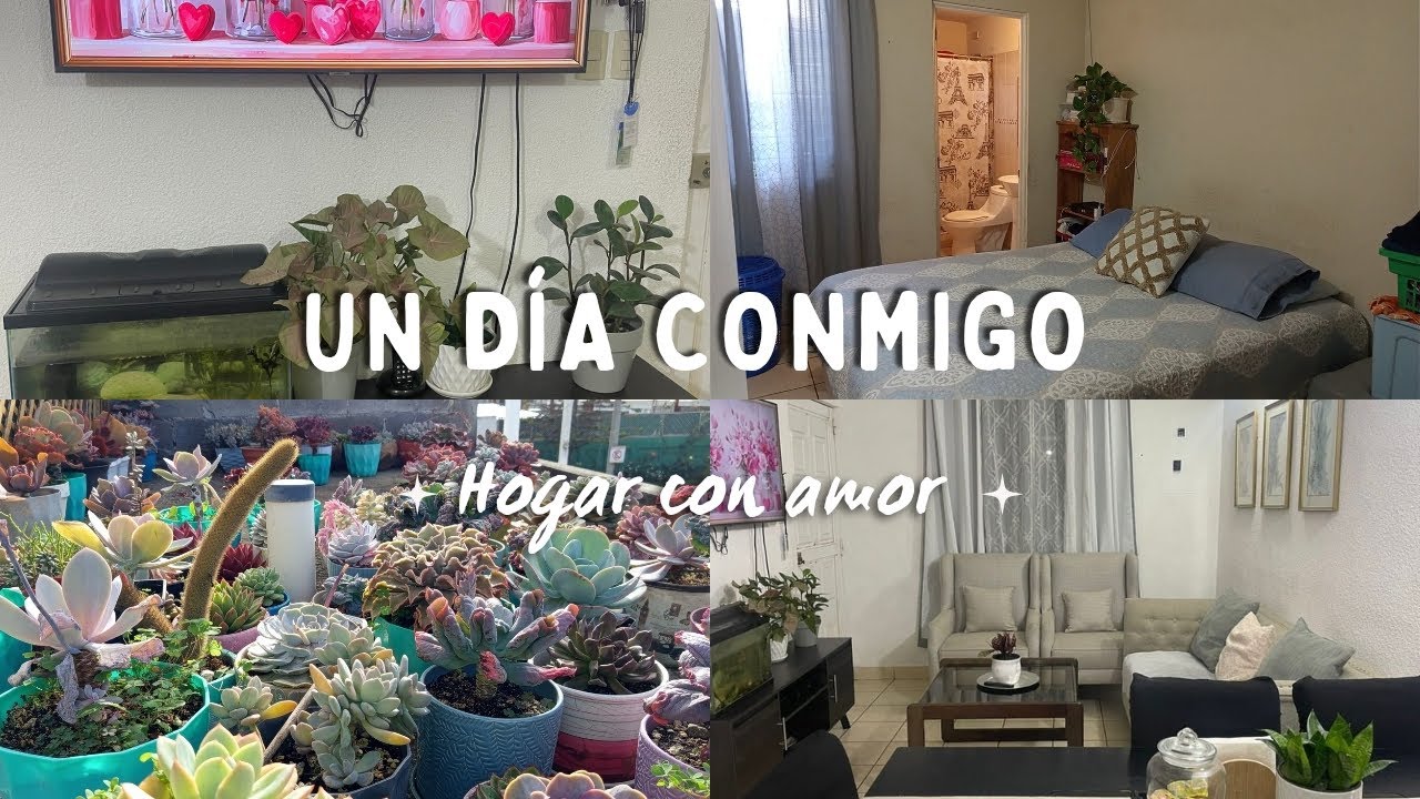 Rutina de limpieza/ Hogar con amor / Días cotidianos #hogar #limpieza #rutina #plantas 