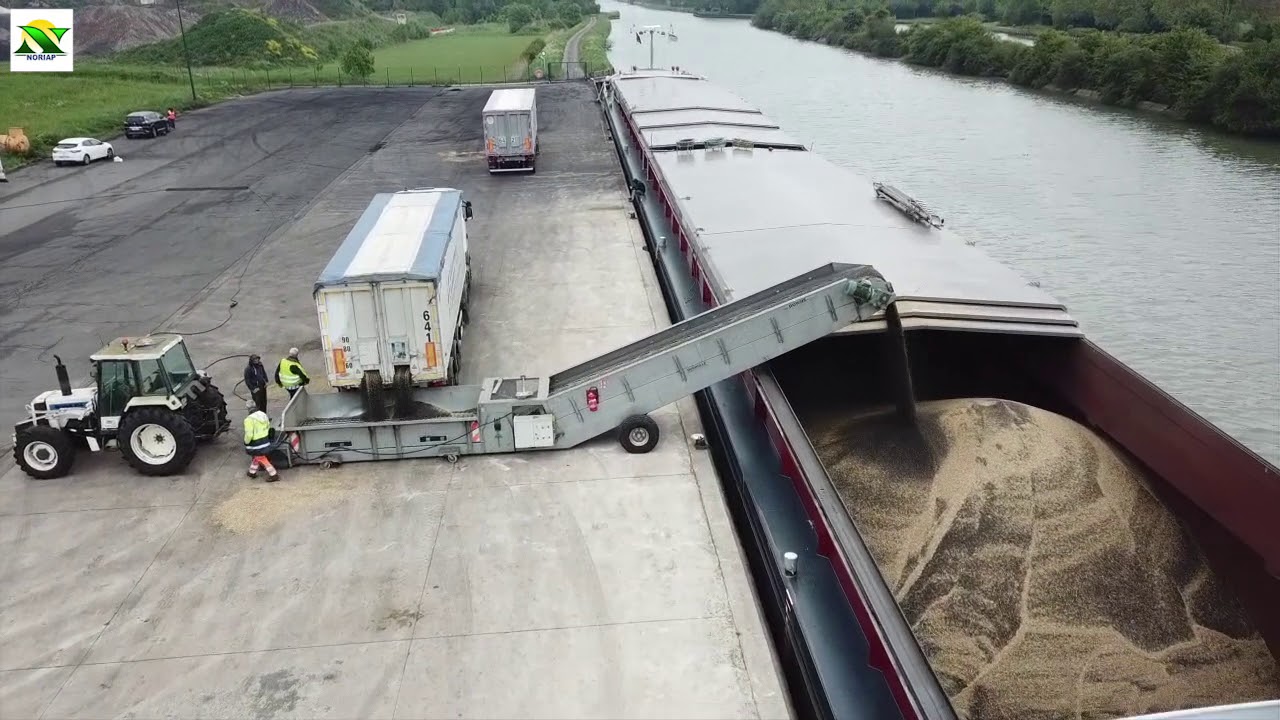 NORIAP - Chargement colza p&eacute;niche 1800 T - 2019