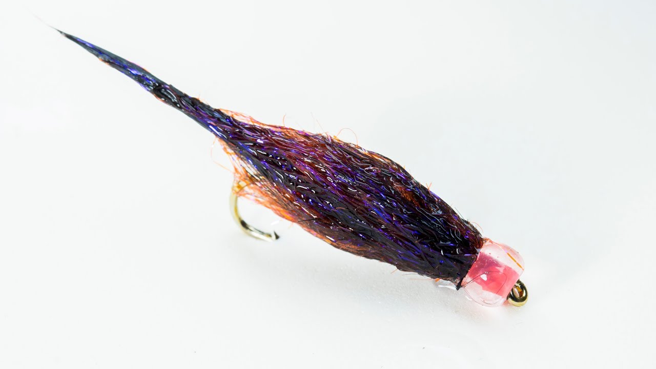 Simple yet Realistic Egg Sucking Leech