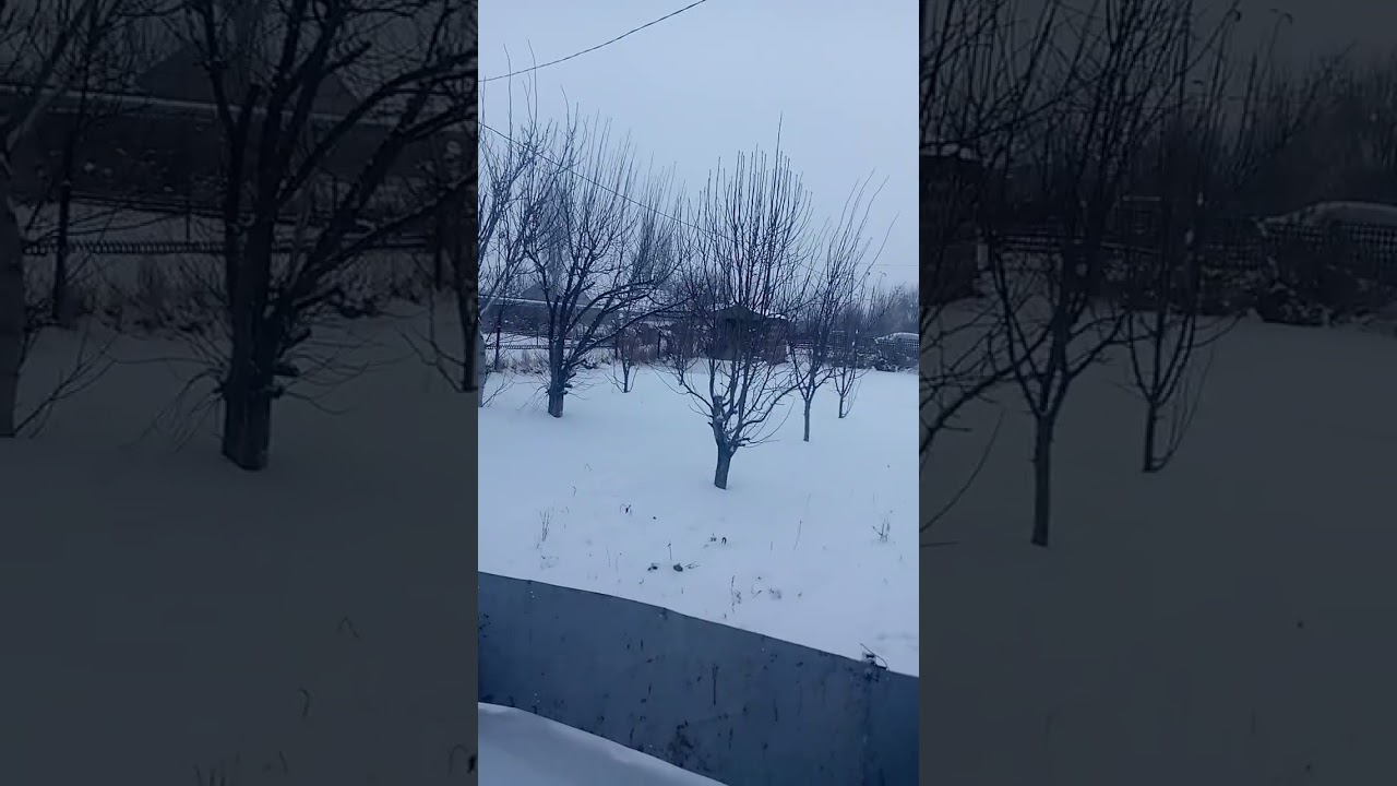 Ձյուն է գալիս ամանորին!
