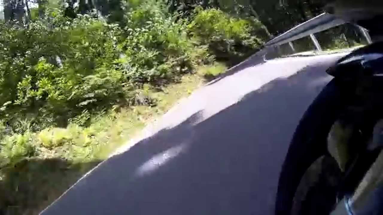 Schwarzwald Zuflucht