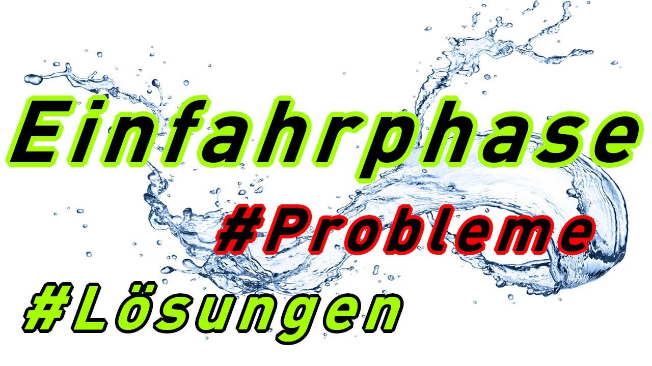 Die Einfahrphase im Aquarium 🌿 - Dauer - Algenphasen / Algenprobleme ⚠️ - Nitritpeak ⚠️ - Lösungen