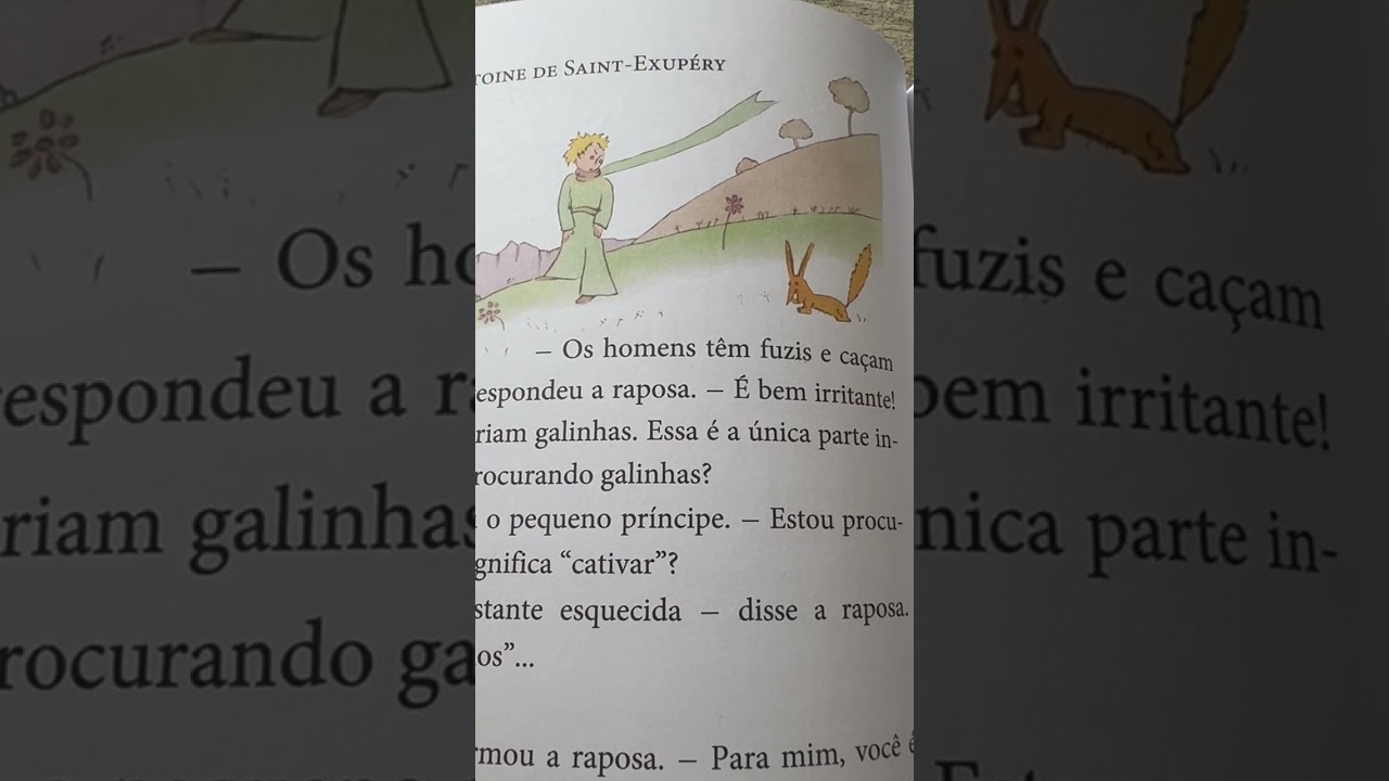 O Pequeno Principe - 17