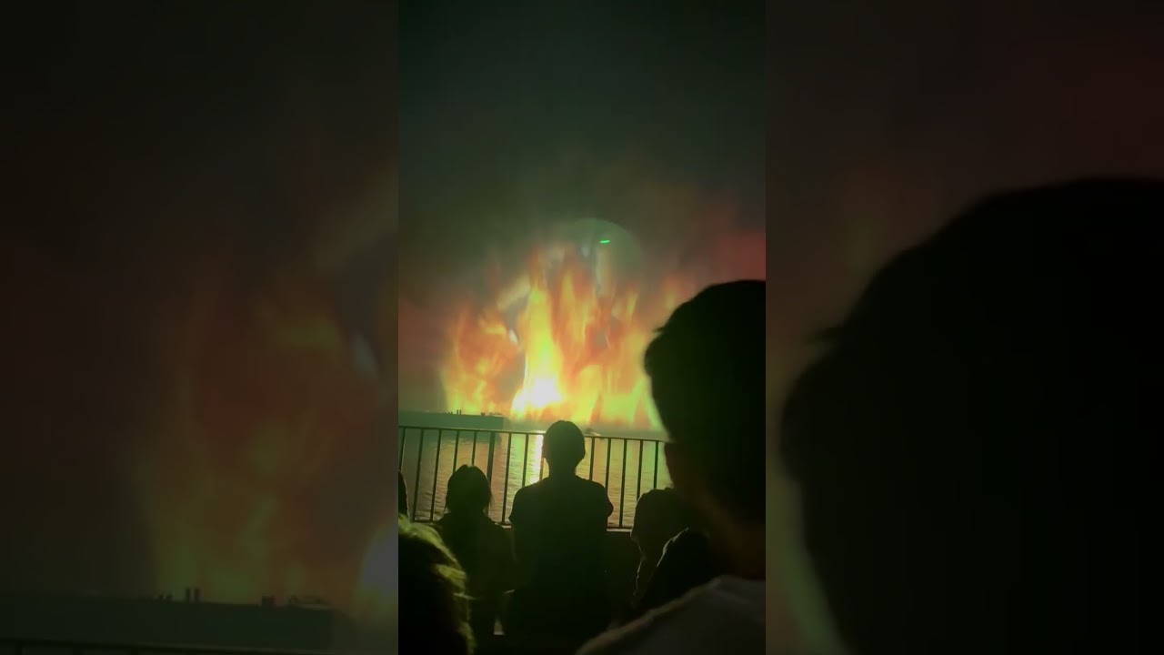 I watched the DisneyWorld ￼ show