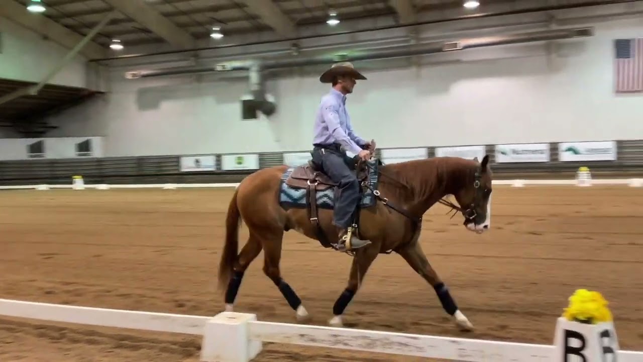 Nutrena Ride the Pattern Clinic: Dressage
