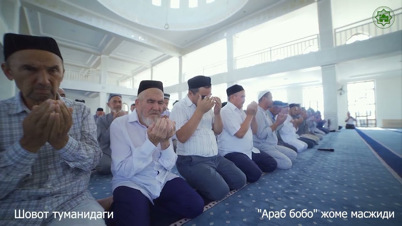 Хушхабар! Шовот туманидаги 