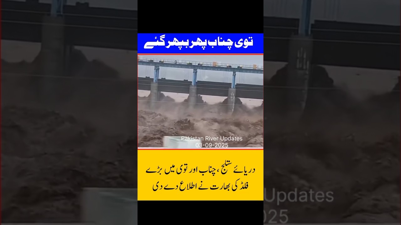 High Flood in River Chenab 2025 | Massive Destruction in Punjab #flood #river #chanab