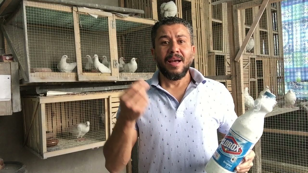 😮تجربتى مع الكلور فى مياه الشرب | لعلاج الامراض البكتيريه