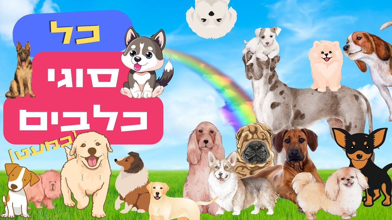 סוגי כלבים 🐩 כלבים לילדים קטנים🐶גזעי כלבים חיית מחמד