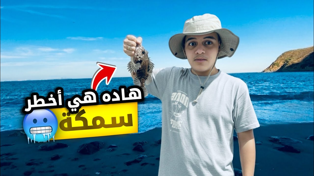هاده أخطر سمكة موجودة في البحر !🥶