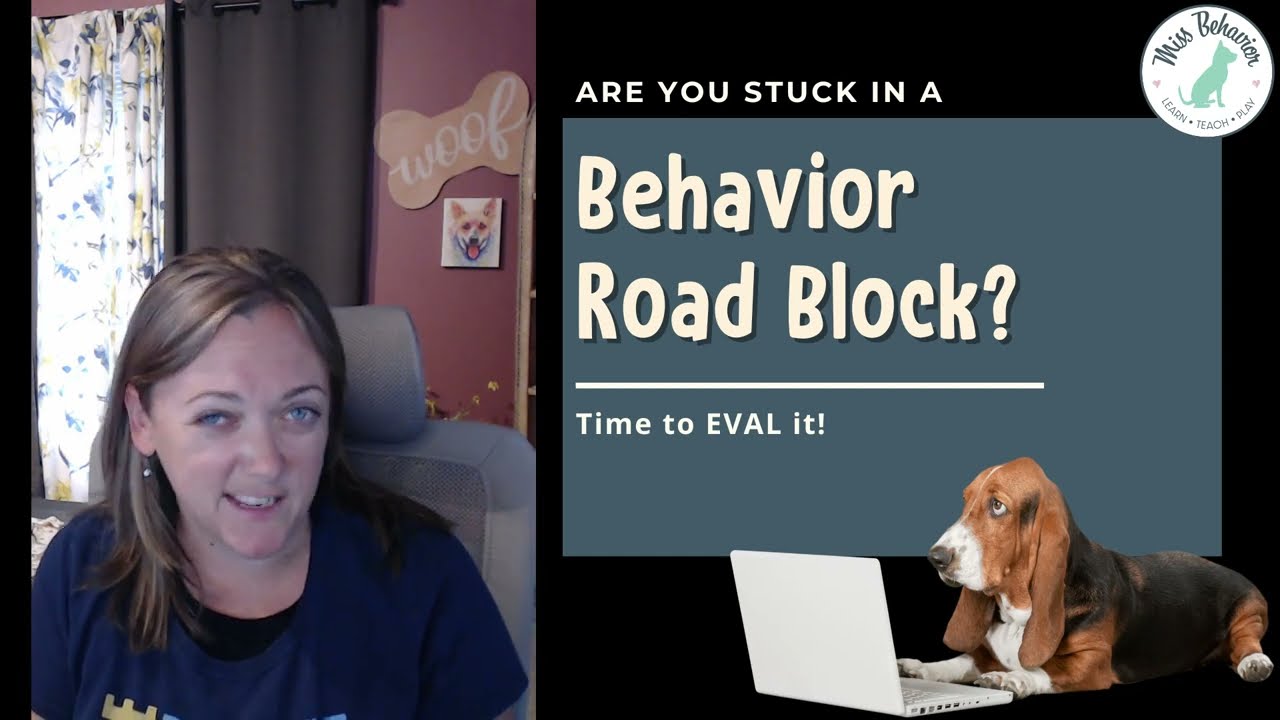 Feeling stuck in your training progress with your dog? EVALuate it!