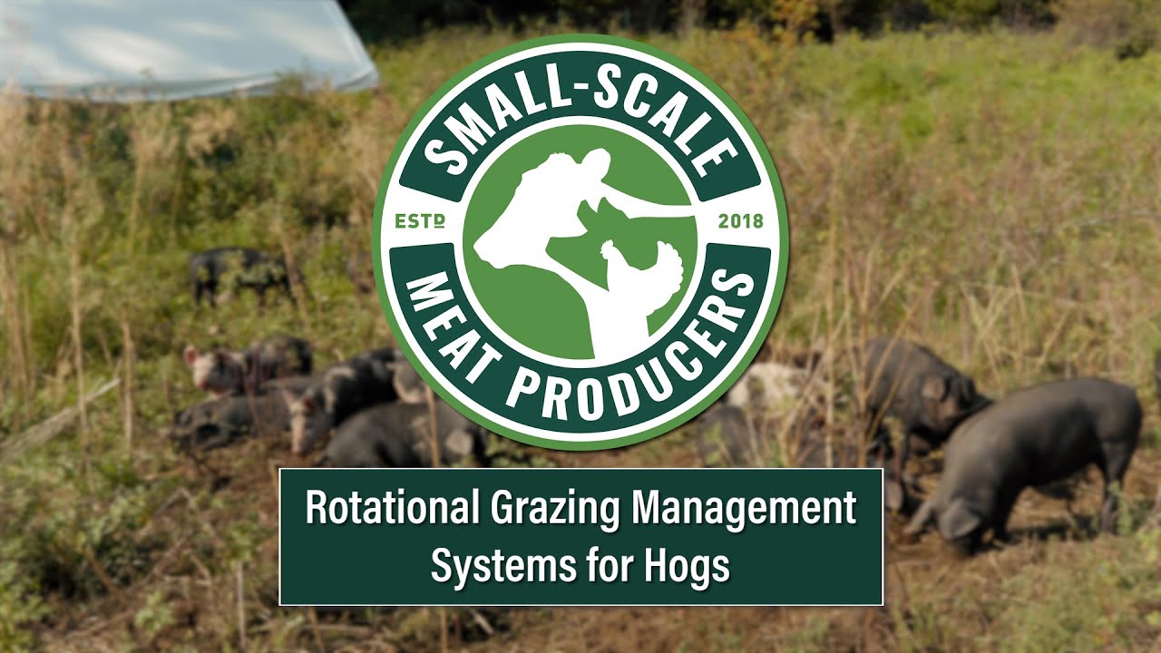 Rotational Grazing Management System for Hogs