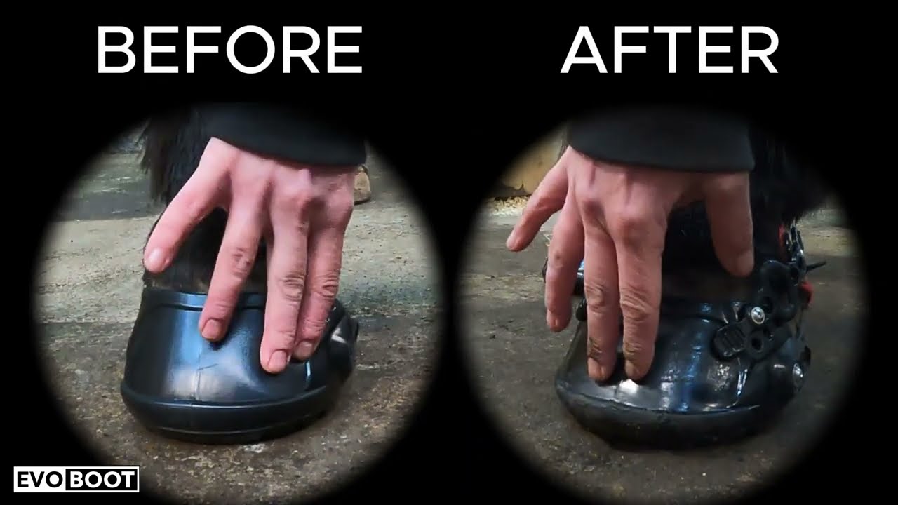 HOTbooting with EvoBoots for every hoofshape!