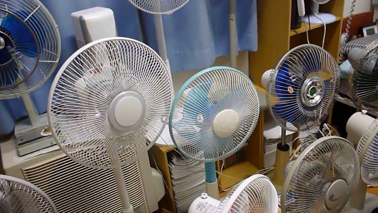扇風機達 2016