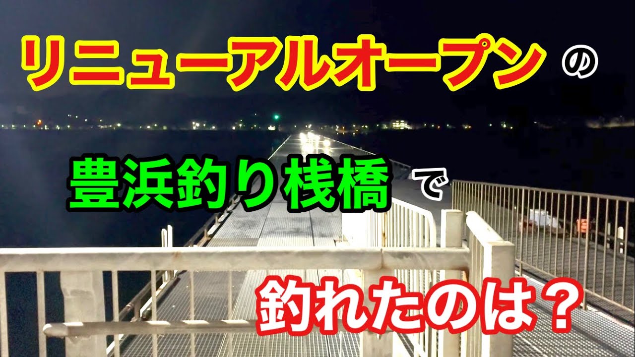リニューアルオープンの豊浜釣り桟橋で釣れたのは？知多半島 知多湾