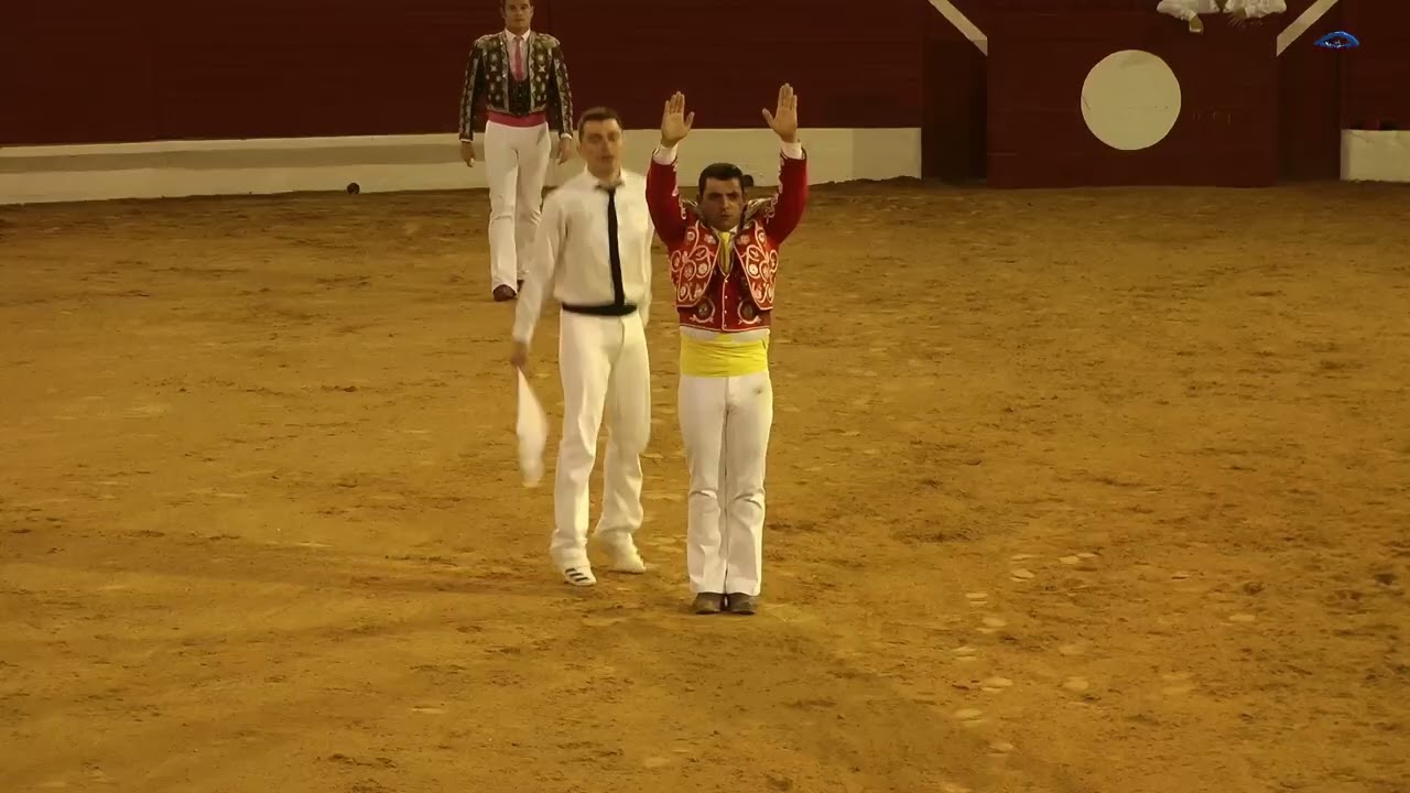 SPECTACLE COURSE LANDAISE GANADERIA DEYRIS dans les arènes de HAGETMAU