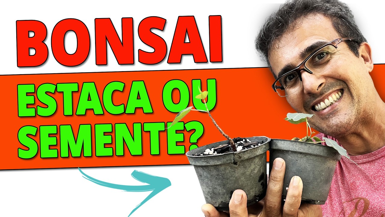 Estaca ou Semente? A Verdade Sobre Criar Bonsai do Zero!