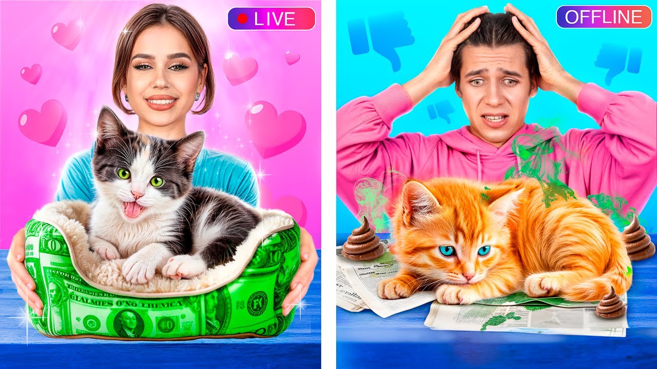 Reiche Katze vs Arme Katze! Erstaunliche Gadgets und Hacks für Haustiere!