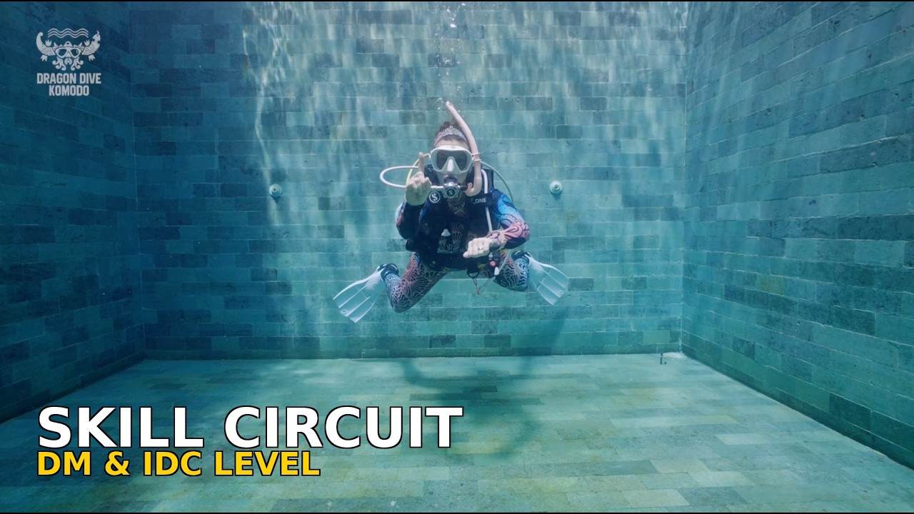 PADI Skill Circuit Demo | Divemaster & IDC Preparation Guide