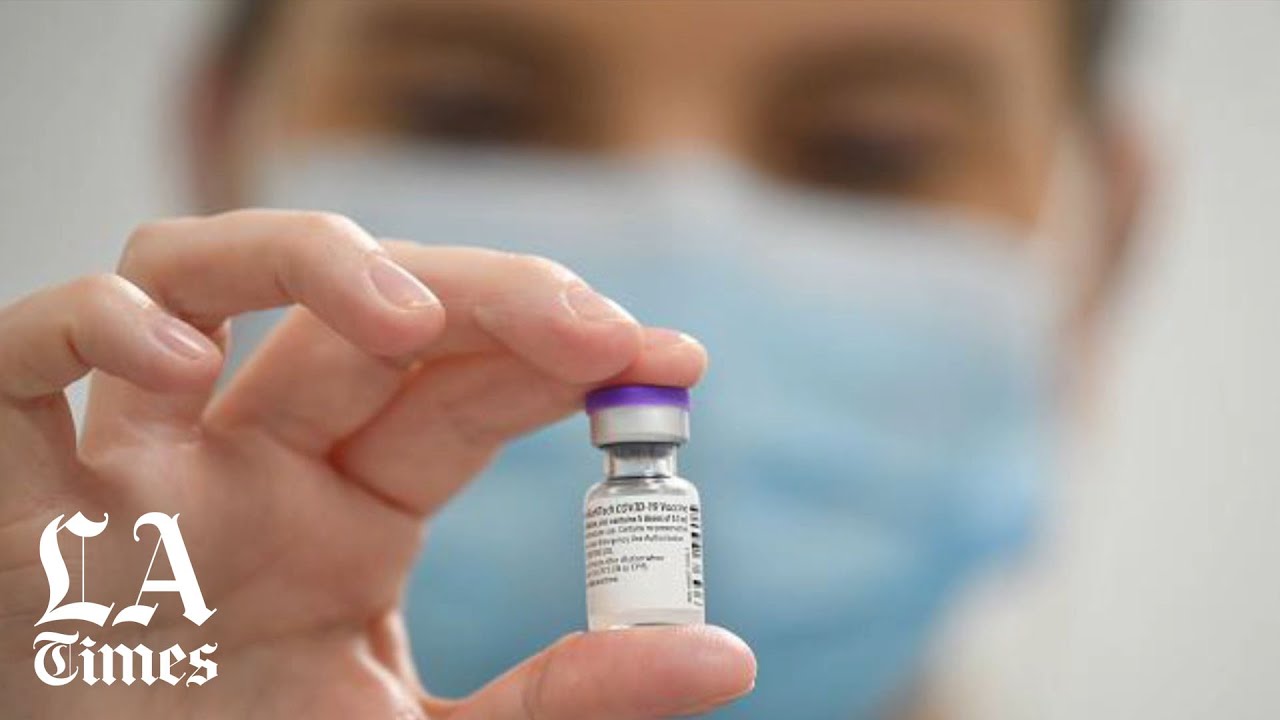 Confused about COVID-19 vaccines? Here&rsquo;s your guide to vaccine vocabulary