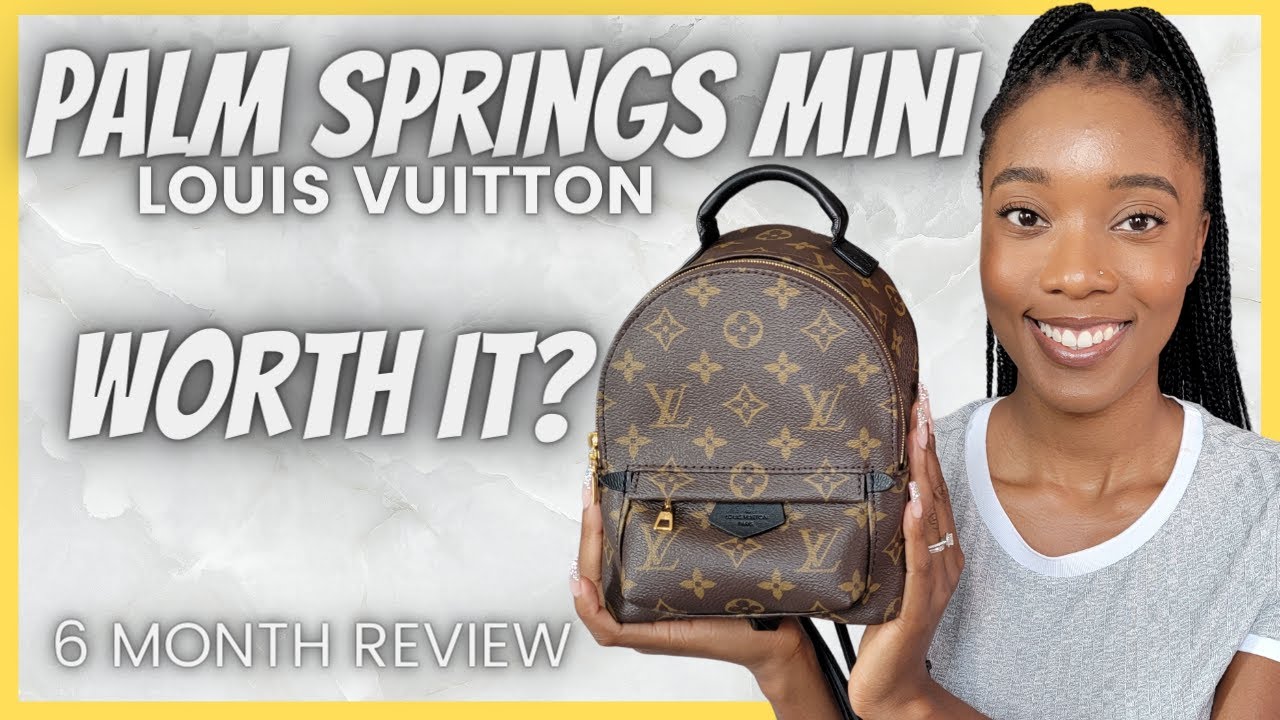 LOUIS VUITTON PALM SPRINGS MINI REVIEW  |  PROS & CONS , WEAR & TEAR , HOW TO STYLE