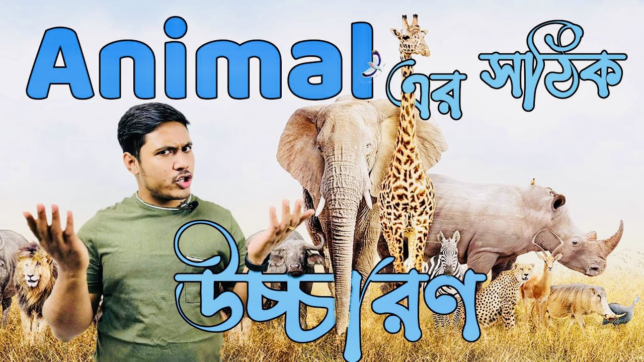Animals এর ইংরেজি নাম ।। Emam Hossain ।। Headman Academy।।