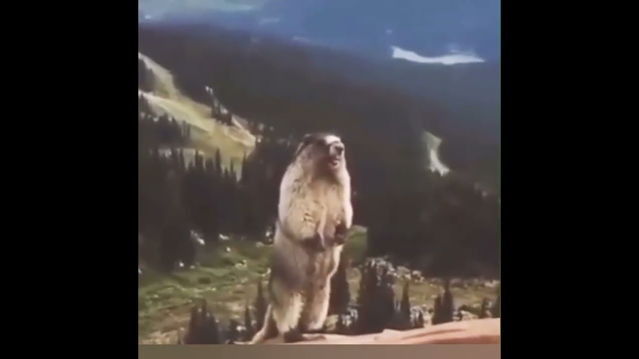 прикольчик😁