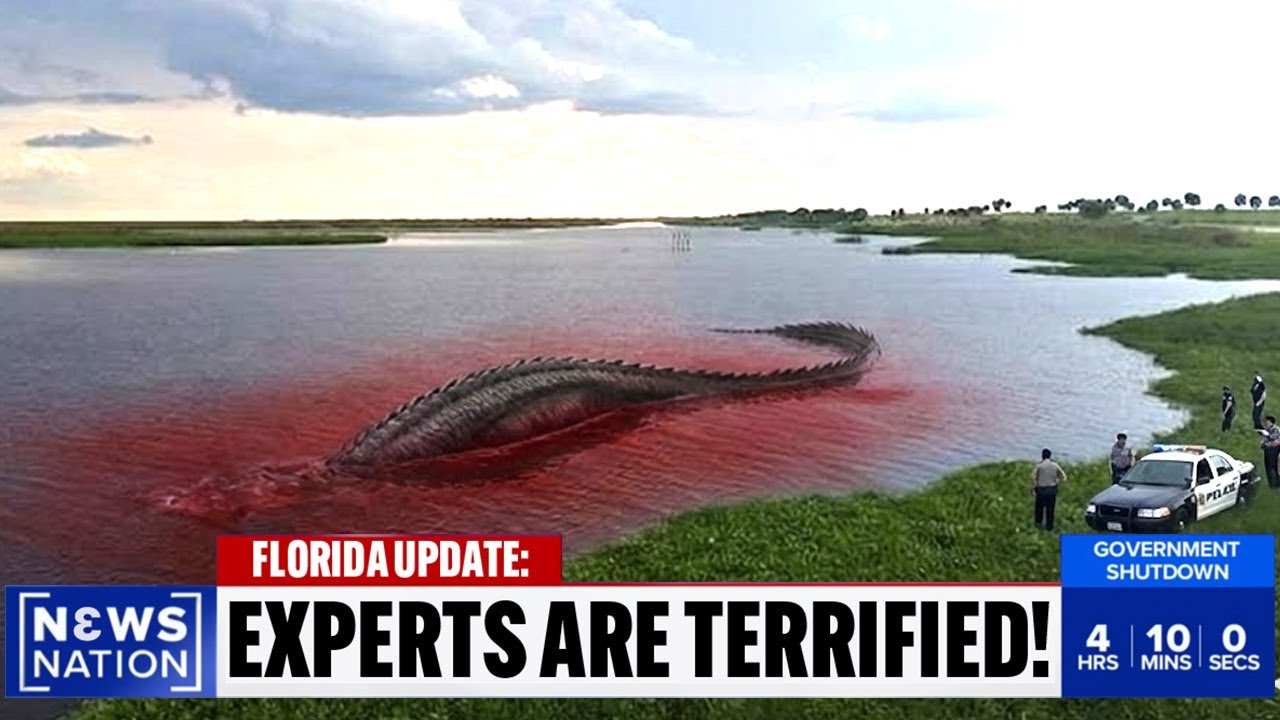 Footage From Lowering Lake Okeechobee In Florida Reveals Something Moving Across The Bottom