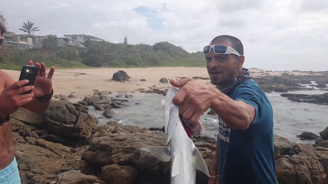 Fishing: Uvongo Pier, Shad bay