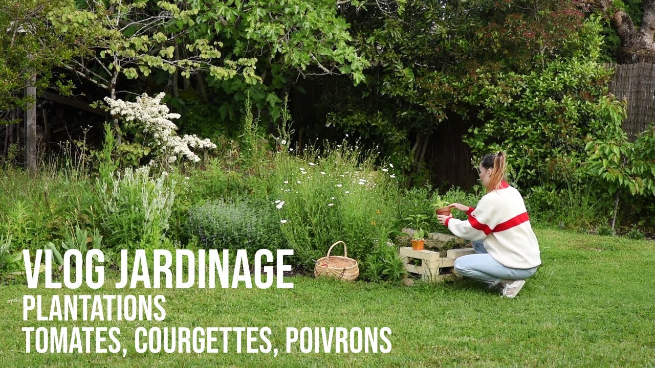vlog d'avril au jardin.